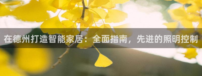 云頂國(guó)際公館物業(yè)電話(huà)：在德州打造智能家居